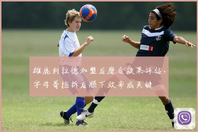 雄鹿利拉德加盟后磨合效果评估,字母哥挡拆后顺下效率成关键